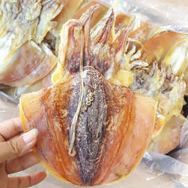 墨魚(yú)干干貨批發(fā)