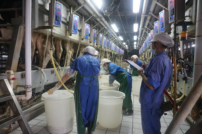 鐘山溫氏乳業(yè)奶牛養(yǎng)殖實現(xiàn)農(nóng)業(yè)經(jīng)濟和生態(tài)環(huán)境雙贏